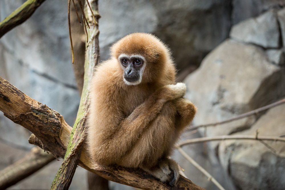 Fotokurse und Fotoworkshops Köln