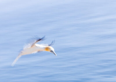Fotoworkshop Helgoland