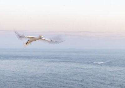 Fotoworkshop Helgoland